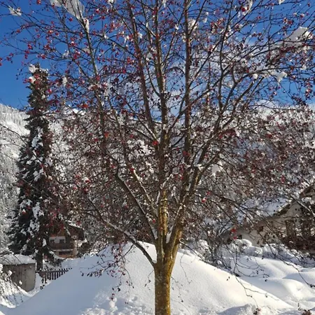 Gstinighof Apartamento *